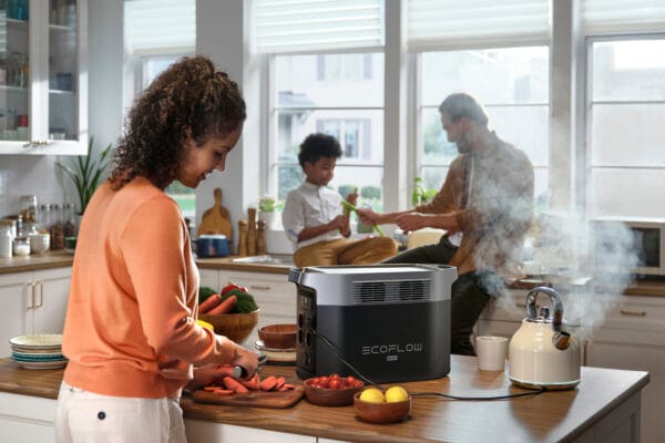 Gerador DELTA 2 Max (2400W, 127v - BR) + Painel BR